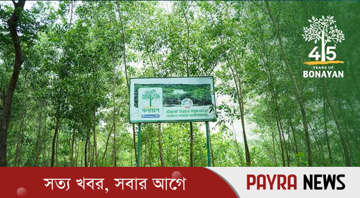 সবুজ বাংলাদেশের স্বপ্ন সারথি: বনায়নের চার দশকের অগ্রযাত্রা