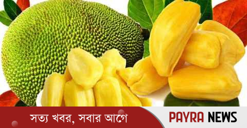 কাঁঠাল খাওয়ার ১১ টি উপকারিতা