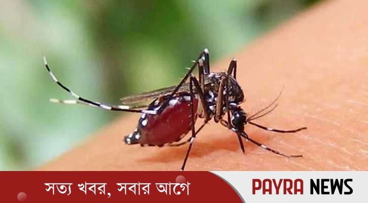 দেশে ডেঙ্গুতে আরও ৩ জনের মৃত্যু,হাসপাতালে ভর্তি ৩২৫