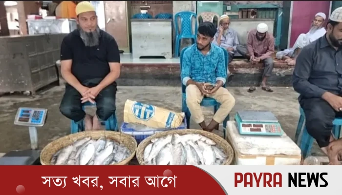 পদ্মা-মেঘনায় দুই মাস ইলিশসহ সব ধরনের মাছ ধরায় নিষেধাজ্ঞা