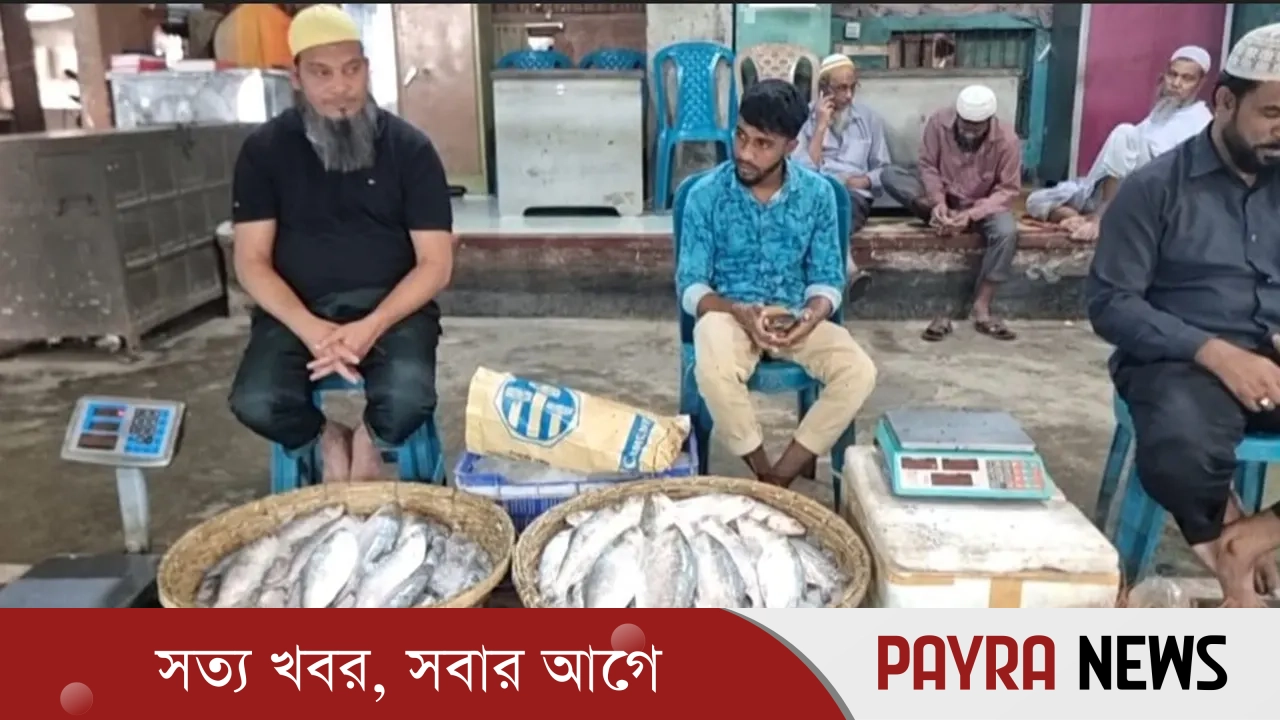 পদ্মা-মেঘনায় দুই মাস ইলিশসহ সব ধরনের মাছ ধরায় নিষেধাজ্ঞা