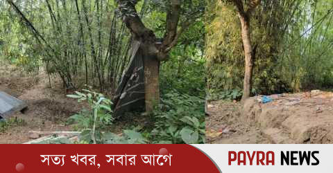 সৎ ভাইয়ের বিরুদ্ধে বসতঘর ভাঙচুর ও মালামাল লুটের অভিযোগ