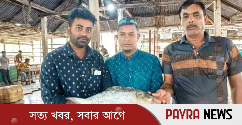 ৯ হাজার টাকায় বিক্রি হলো এক ইলিশ