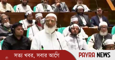 জামায়াত সংবিধান ছুড়ে ফেলার কথা বলেনি, পরিবর্তন চেয়েছে: আমির