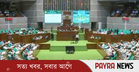 স্থানীয় নির্বাচনে থাকছে না দলীয় প্রতীক