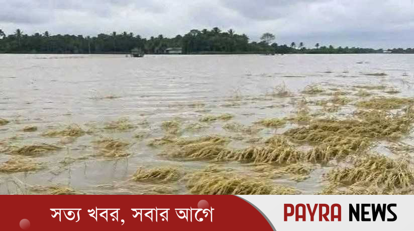৭ নদীর পানি বিপৎসীমার ওপরে, উত্তর-পূর্বে বন্যার শঙ্কা